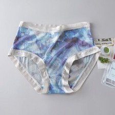 2 Pairs Mulberry Silk Underwear Women Briefs Thin Silk Panties 2 Layers Crotch