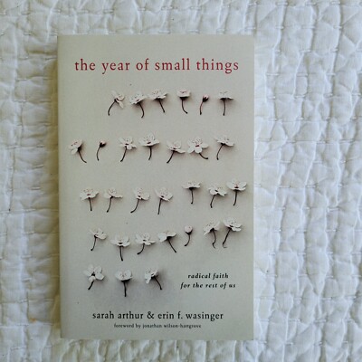 The Year of Small Things : Radical Faith for the Rest of Us by Erin F. Wasinger