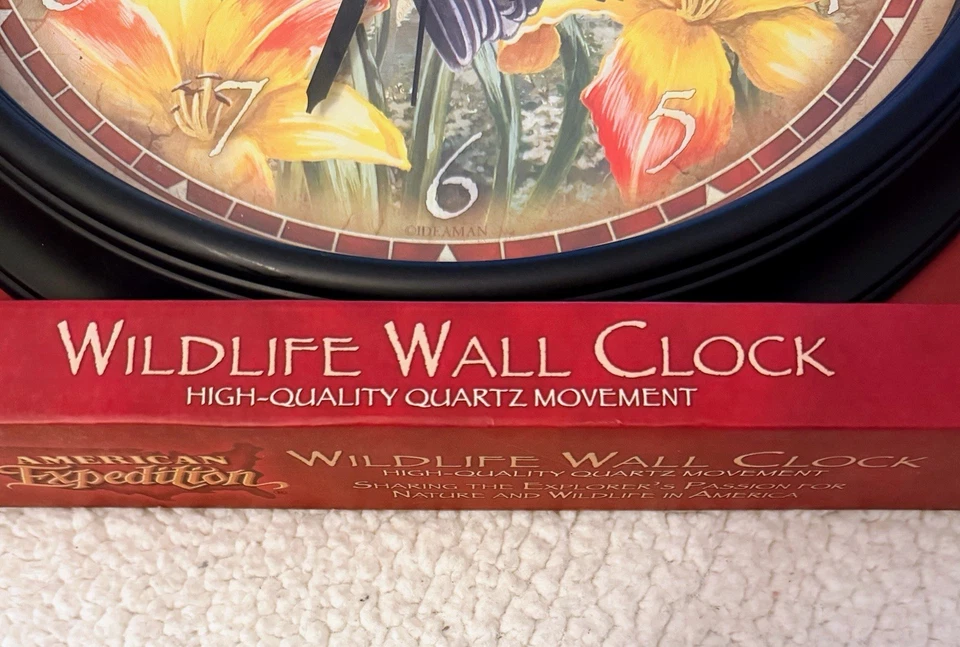 Reloj Colibrí American Expedition 16 Pulgadas Nuevo En Caja Foto 3 de 4