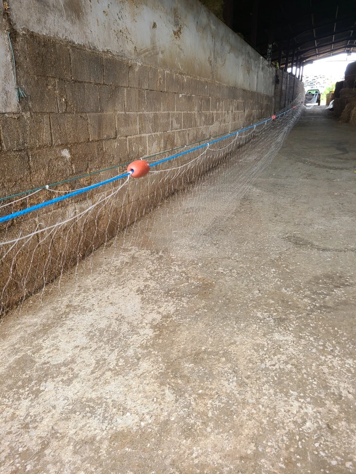 Kiemennetz/Überlebensnetz/Fangnetz für mehrere Arten 150 Fuß lang/4 Zoll Masche/4,5 Fuß hoch