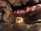 Picture 10 of 24