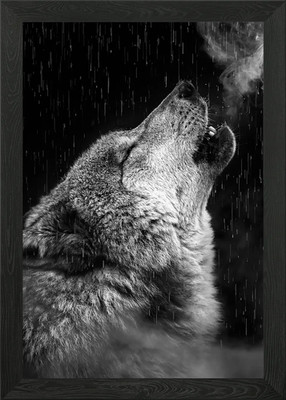 Schwarzer Wolf heult Kunst Gerahmtes Wandbild Poster Leinwanddruck Bild