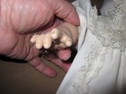 1940's? Effanbee Composition Doll with Working Eyes 19" In Christening Outfit — photo 9