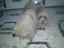 Bild 3 von 3