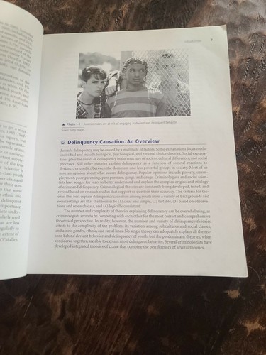 Juvenile Justice A Text/Reader By Richard Lawrence 2008 - Imagen 9 de 12
