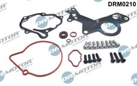 Reparatursatz, Unterdruckpumpe (Bremsanlage) Dr.Motor Automotive DRM0210 FüR VW
