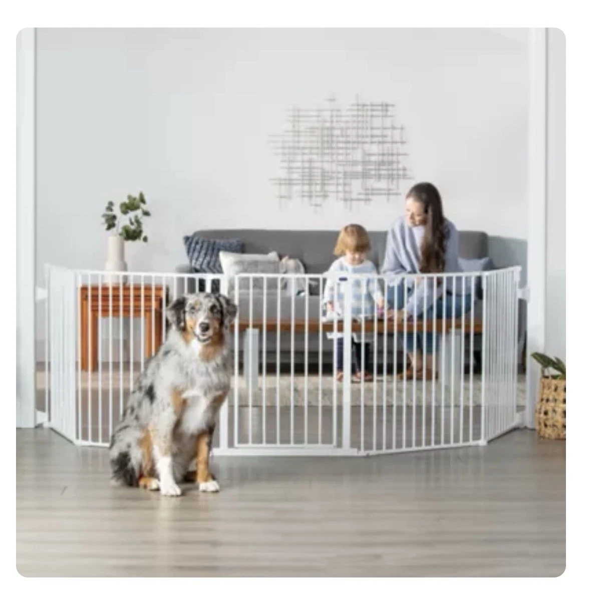 Top Paw Dog Supplies for sale | eBay