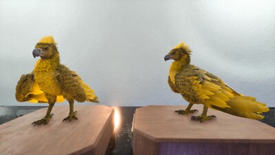 ARK ASCENDED PVE OFFICIAL PAIR BABY ARGY GOLD ID245 HIGH STATUS PC/XBOX/PS5