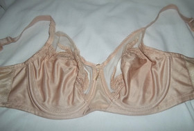Wacoal 85121 Beige Nude Feather Sheer Embroidery Underwire Bra size 34D