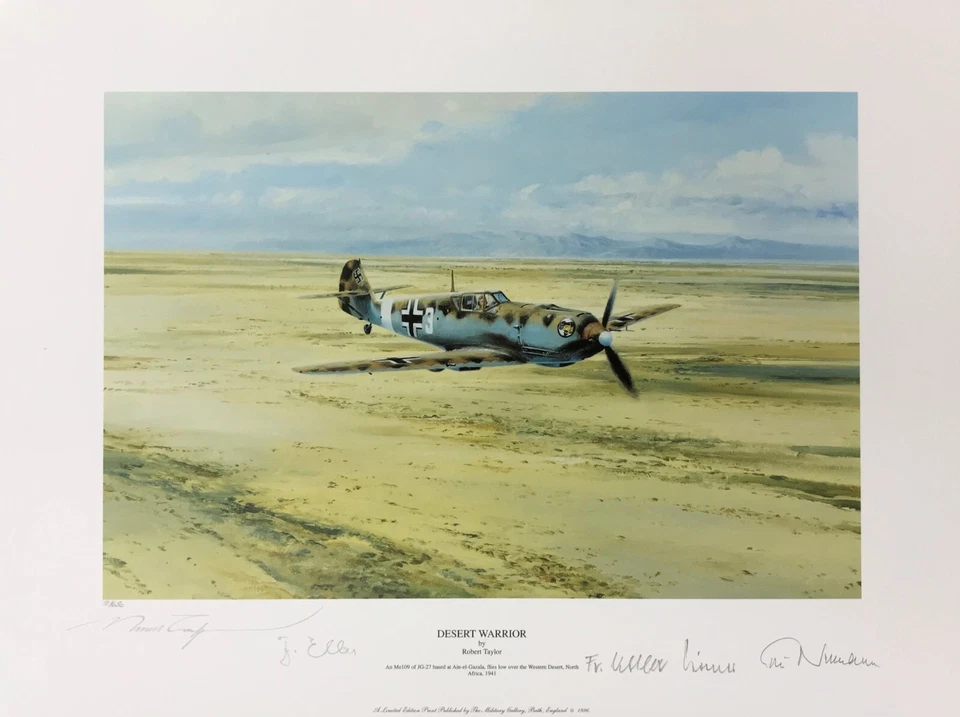 Guerrero del Desierto por Robert Taylor impresión artística firmada por Cuatro Ases del Desierto de la Luftwaffe Foto 2 de 2