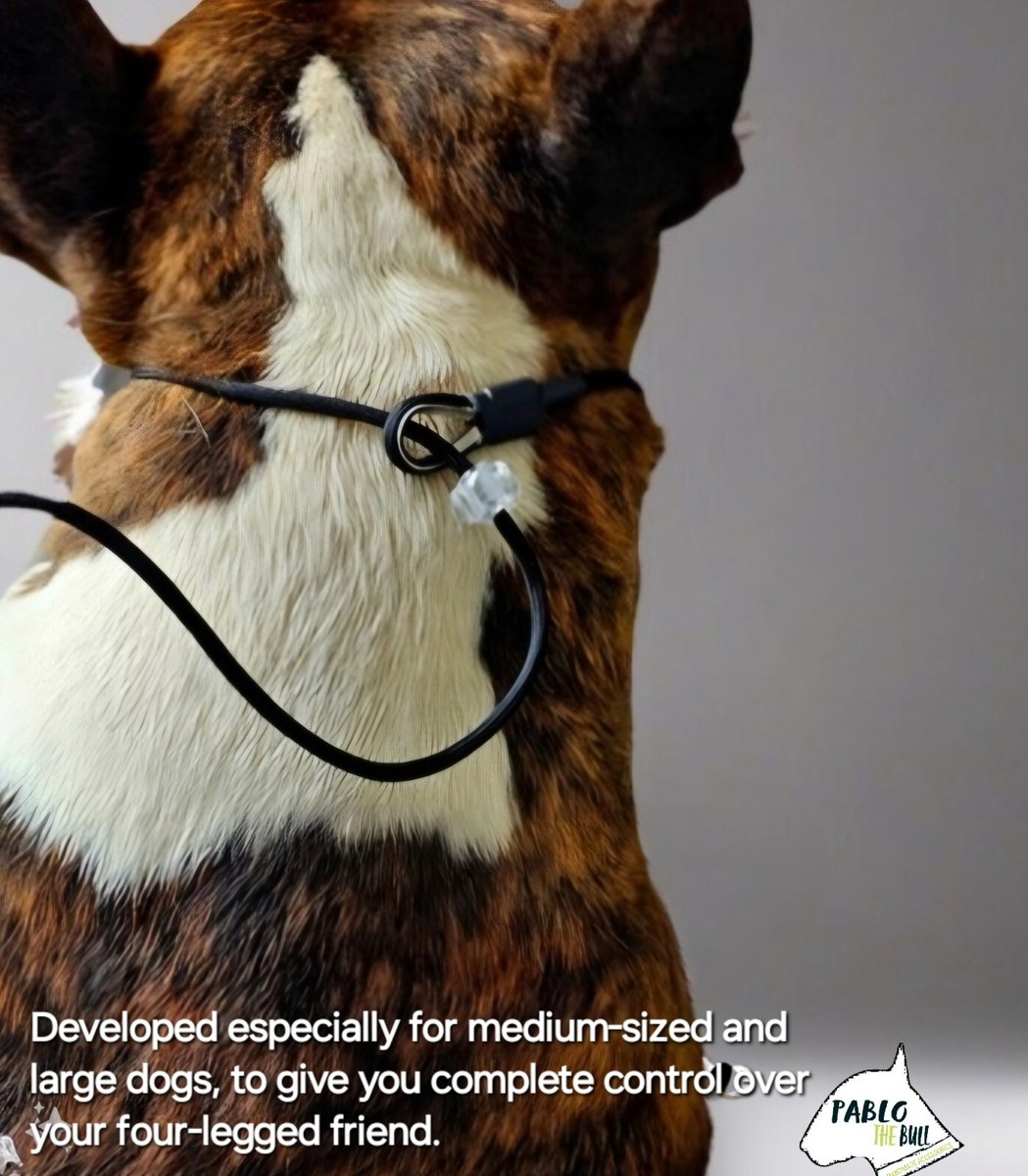 Slip collar dog training collar Grot dominant dog gundog adjustable ro – Blue Dog UK