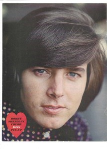 Teen Heartthrob Bobby Sherman Magazine Cut Out-1970's