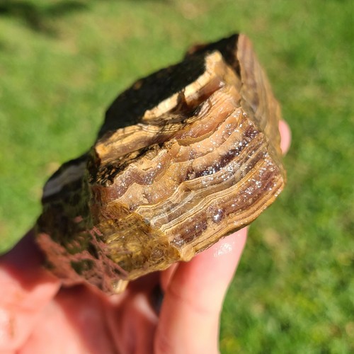 BROWN RHODOCHROSITE LAPIDARY ROUGH ARGENTINA 1lb 10.9oz - Picture 2 of 6