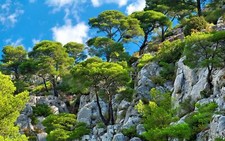 Landscape nature clouds trees cliff shrubs blue green Custom Gaming Mat Desk