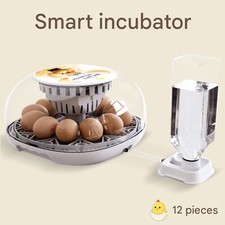 Incubators for Hatching Eggs, 12 Egg with Automatic and Humidity Control