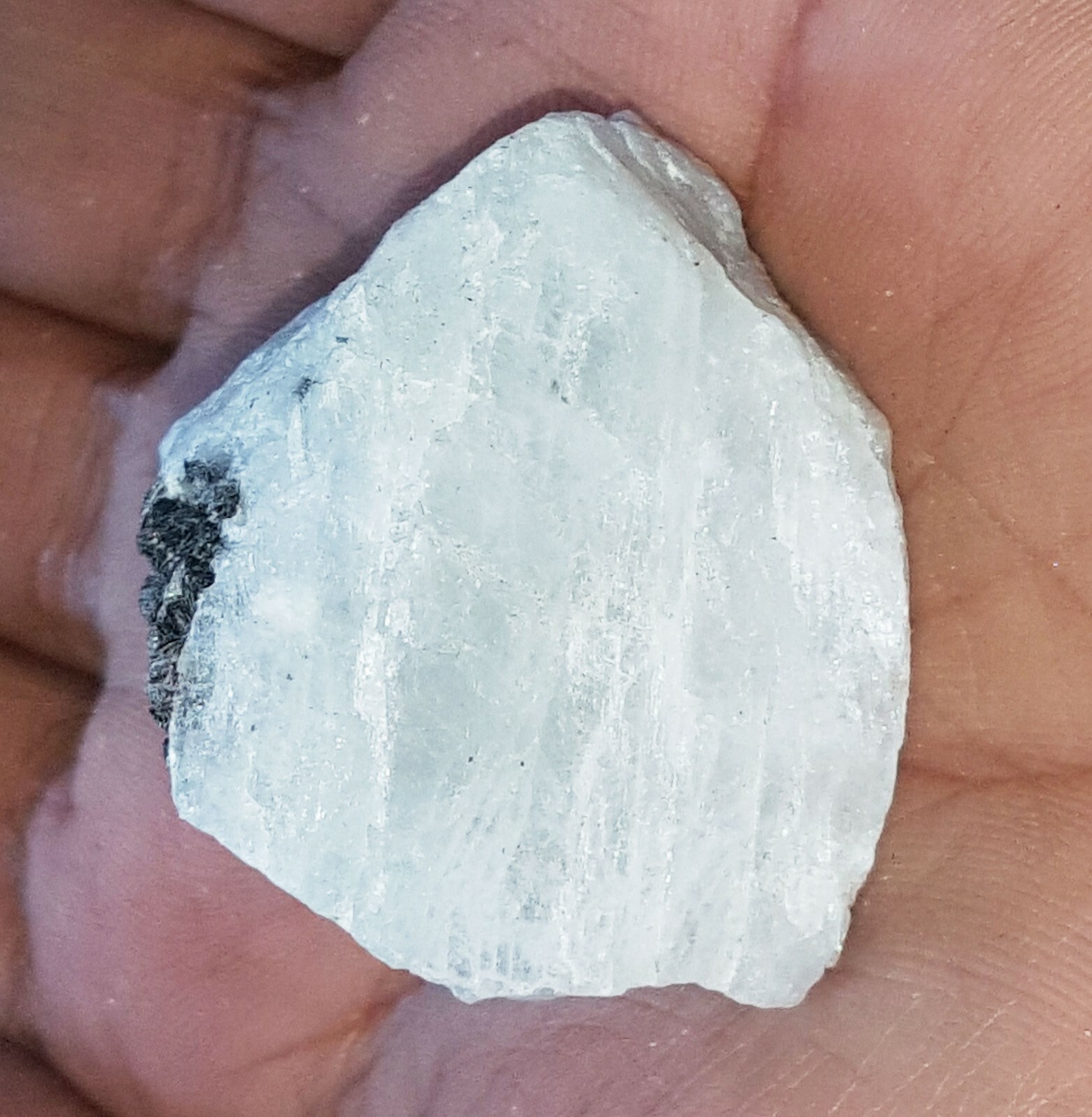 Picture 2 of 6