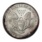 2004 1 oz Silver American Eagle - Neon Rainbow Rim Toning - BU - SKU-E3440