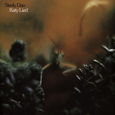Steely Dan - Katy Lied (Vinyl LP - 1975 - US - Reissue)