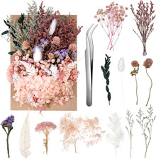 Real Dried Flowers, Natural Dry Flowers Mixed Natural Pressed Flowers Flores Sec