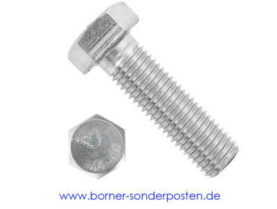 25 Stk Sechskantschraube /& Mutter DIN 601 M6 x 60 verzinkt
