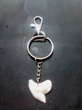 Large Tiger Shark Tooth Keychain With Attached Lanyard