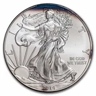 2014-W Burnished American Silver Eagle (Capsule Only)