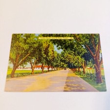 Postcard: Valley Road Near El Paso Texas Line...