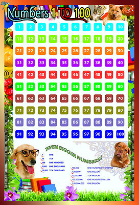 ZAHLEN Quadrat 1 bis 100 A2 Laminiert Pädagogisch Schule Mathe Kindergarten Wandposter