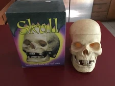 Vintage Halloween Skull The Paper Magic Group Feels Like Real Bone Scary 1995