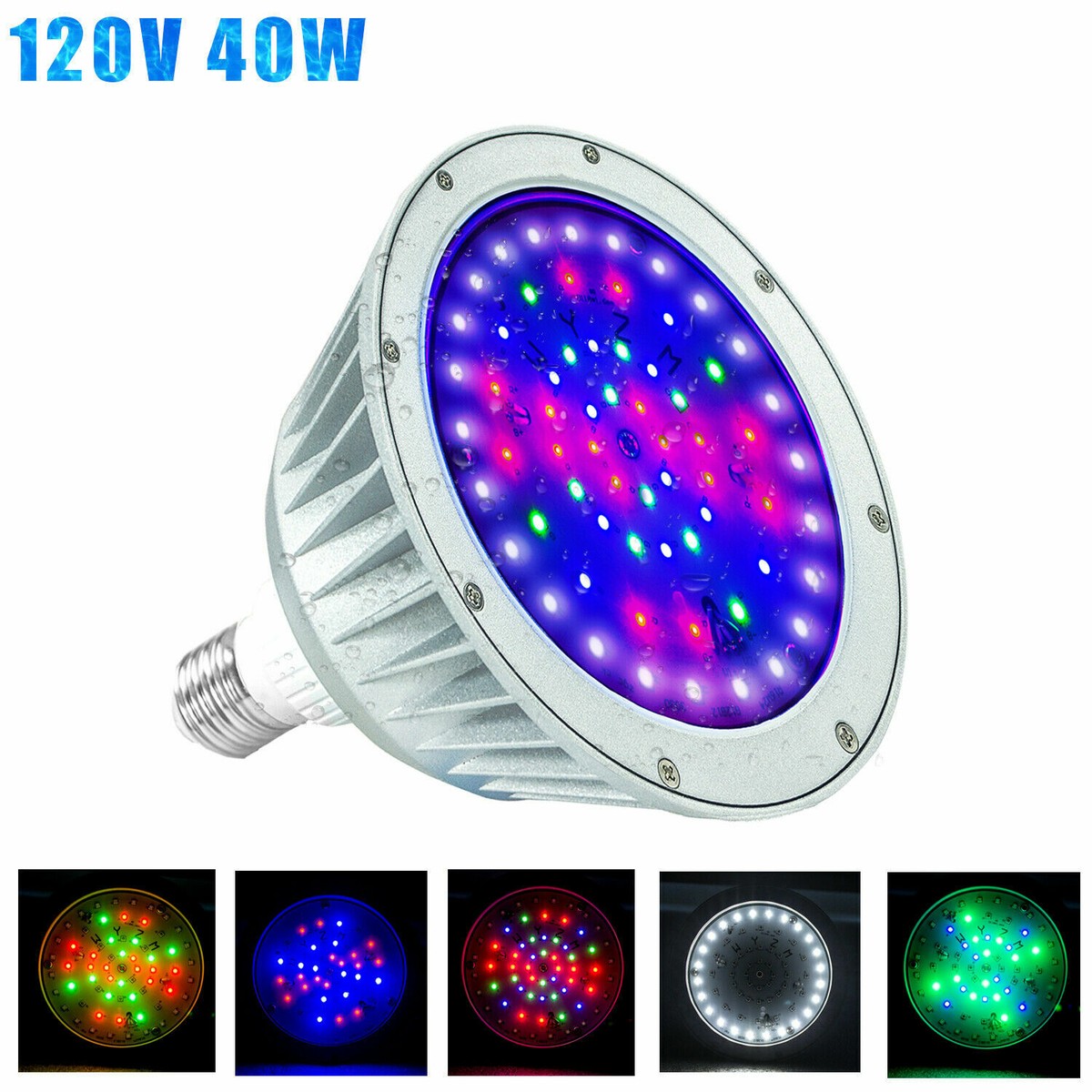 Color Splash Led Pool Lights Shelly Lighting