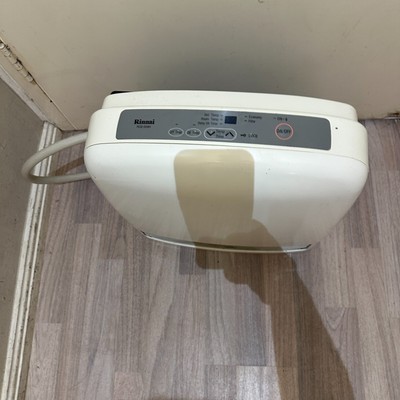 RINNAI NATURAL GAS HEATER MODEL RCE-329H | eBay