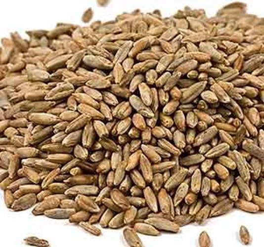 CZ GRAIN BULK GRAINS GRN RYE BERRY ORG, 25 LB