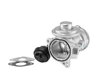BorgWarner (Wahler) Agr-Ventil U.A. FüR Audi, Ford, Seat, Skoda, VW