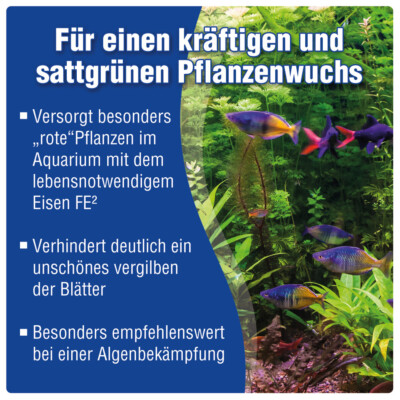 wann muss ich hortensien düngen Hortensien Dünger vom Profi – Für kräftige Blüten & gesunde Pflanzen –  Hortensienwelt Ullmann