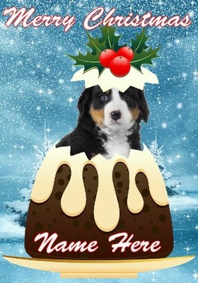 gfacc 16 Berner Bergwelpe Pudding Pudding personalisiert Frohe Weihnachten Karte