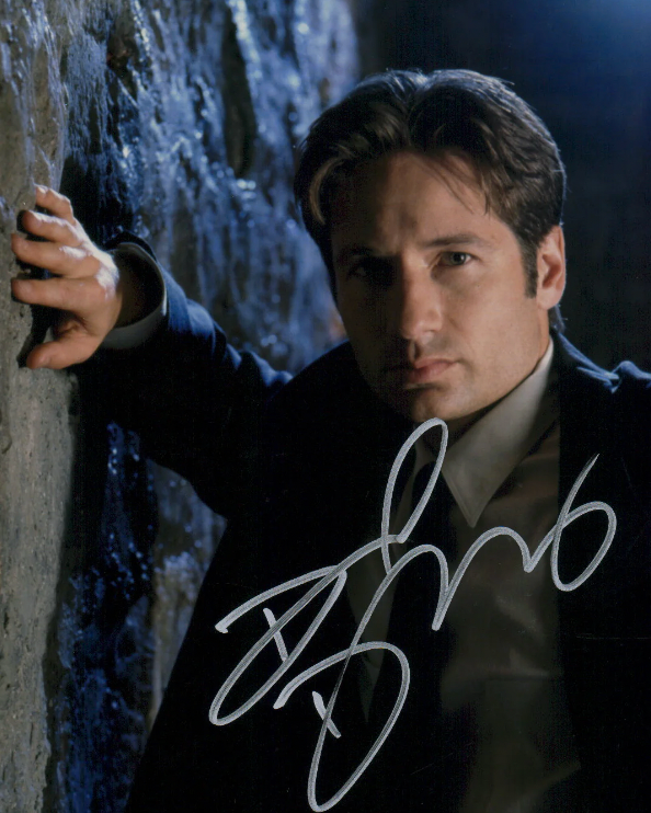 David Duchovny Autographed 8x10 Photo Signed Reprint X-Files Fox
