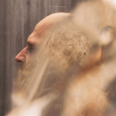 Psychonaut: Violate Consensus Reality (black Vinyl) - 375 Media  - (LP / V)