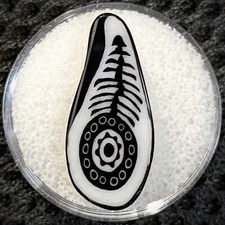 Borosilicate glass Fishbone paisley polished murrine coin - heady fan art  