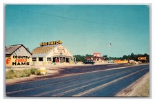 Dog Patch Kentucky London KY Fred Stanley Chrome Postcard Pub No S3697-1 XA10