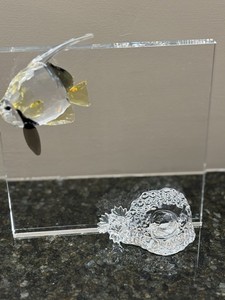 Swarovski Wonders of the Sea Community | eBay