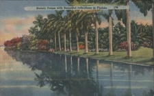 Stately Palms with Beautiful reflections Florida Tichnor Linen Vintage Postcard