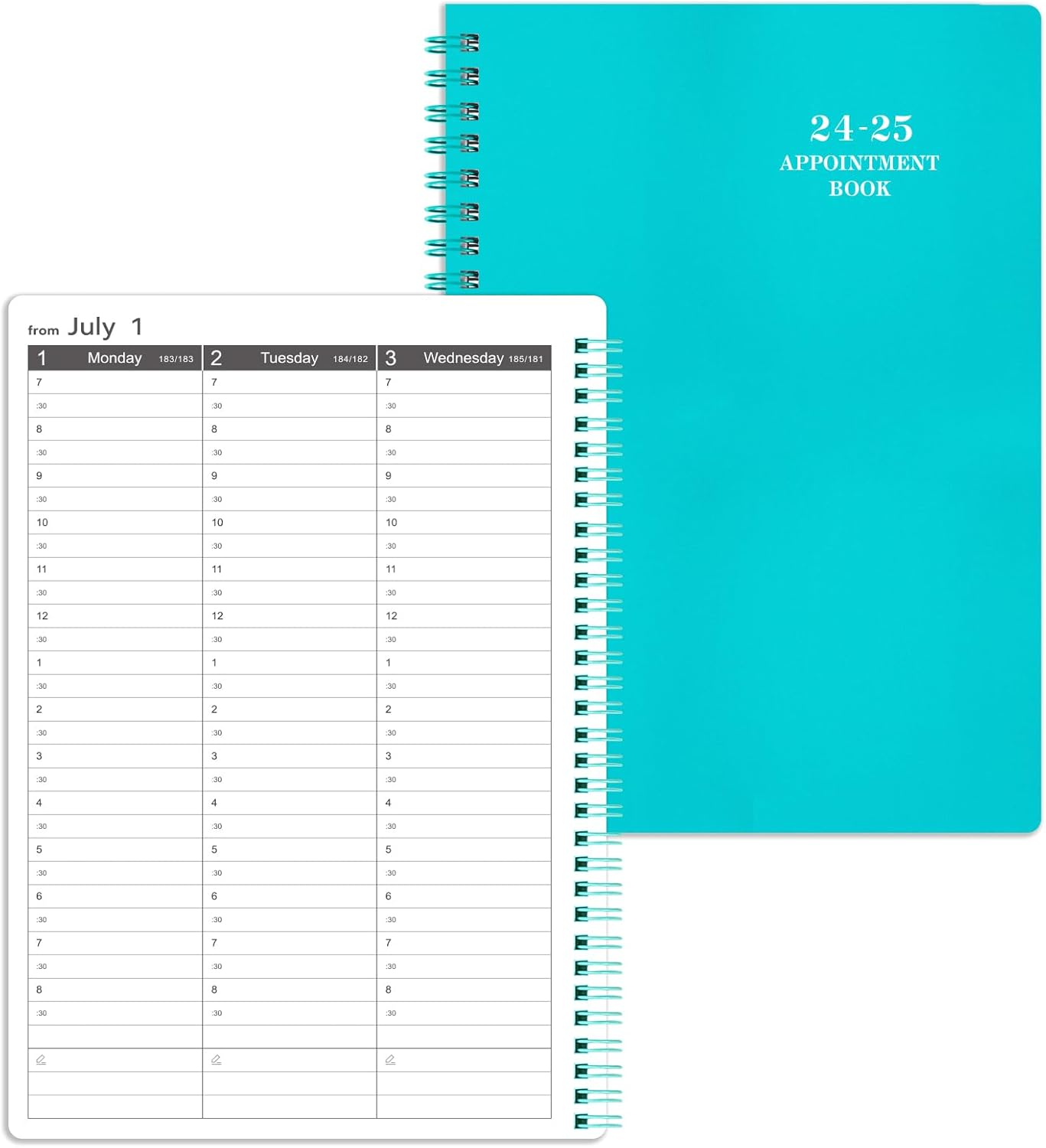 2024-2025 Planner/Appointment Book - Planner 2024-2025 Daily Weekly and Monthly,