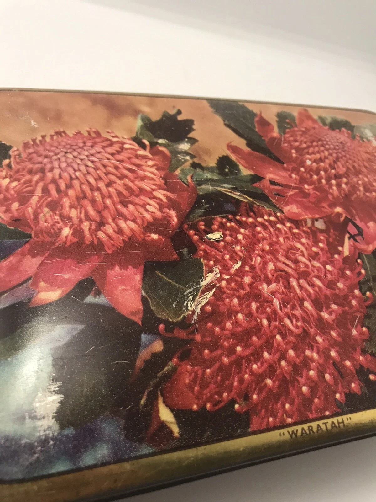 Picture 11 of 13