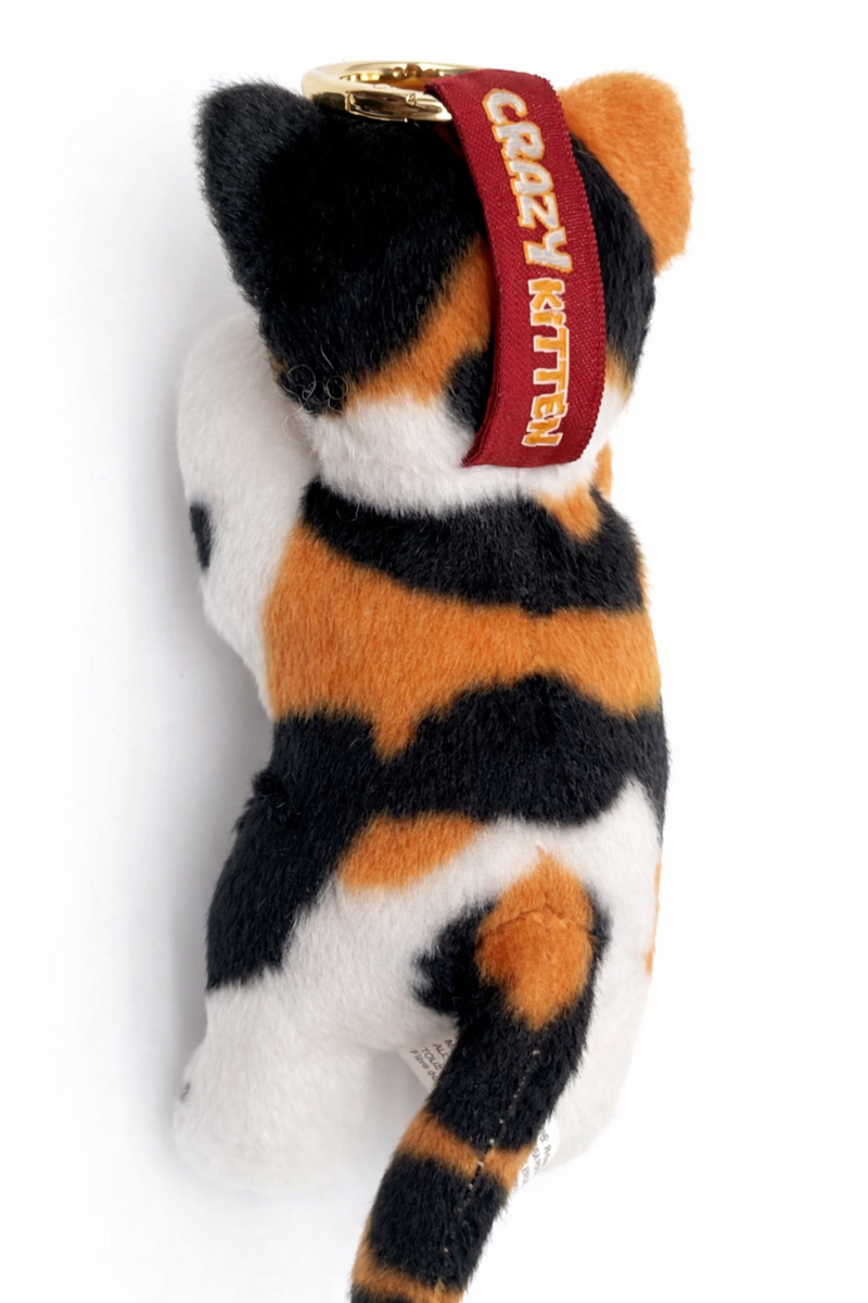 3x Crazy Kitten Standing Cat Plush Blind Keychain Box Japan