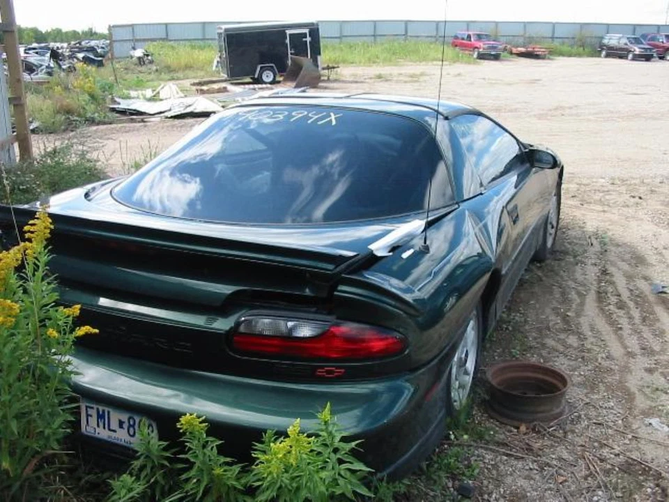 Cinturón de seguridad delantero para Camaro RGHT 1996 FRNT GRIS Foto 4 de 4