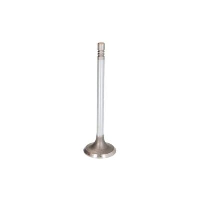 Einlaßventil FRECCIA R6548/SCR