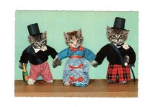 Ansichtskarte / Tierpostkarte Katze / Kätzchen / Kitten