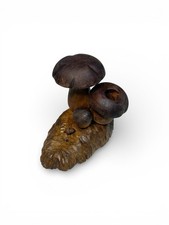 Porta Stuzzicadenti In Legno Intagliato A Mano A Forma Di Fungo Porcino