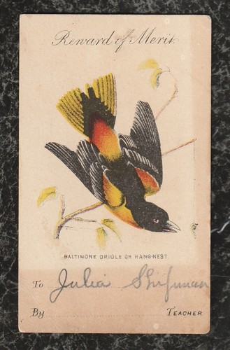 Oriole 1870s School Victorian Reward of Merit Card Hand Colored Lithograph 4x2.5