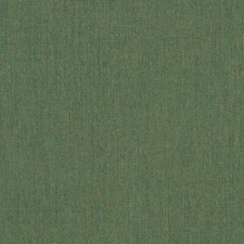 Awning / Marine Fabric - Sunbrella® Fern 60" 6071-0000